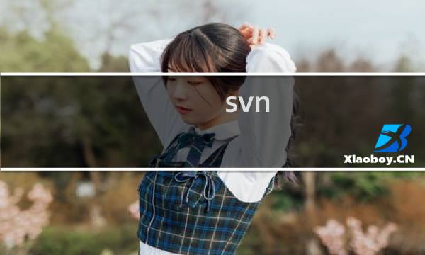 svn 清理 - svn的cleanup勾选哪些选项